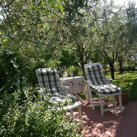 Studio Apartment Oliva Апартаменты Пула